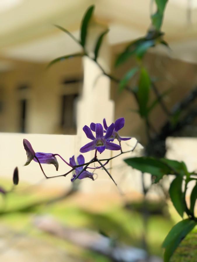Paradise Garden 贝鲁沃勒 外观 照片