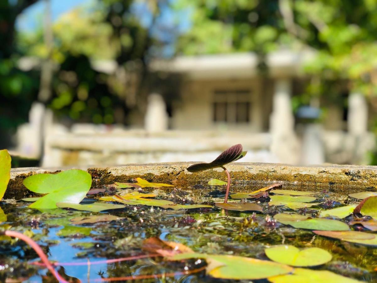 Paradise Garden 贝鲁沃勒 外观 照片