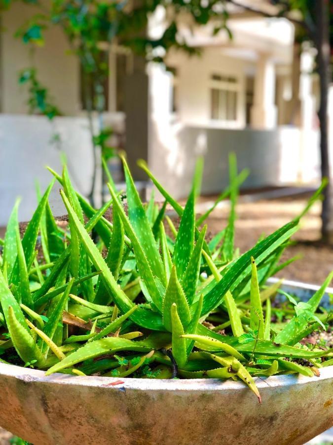 Paradise Garden 贝鲁沃勒 外观 照片